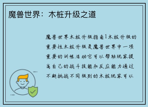 魔兽世界：木桩升级之道